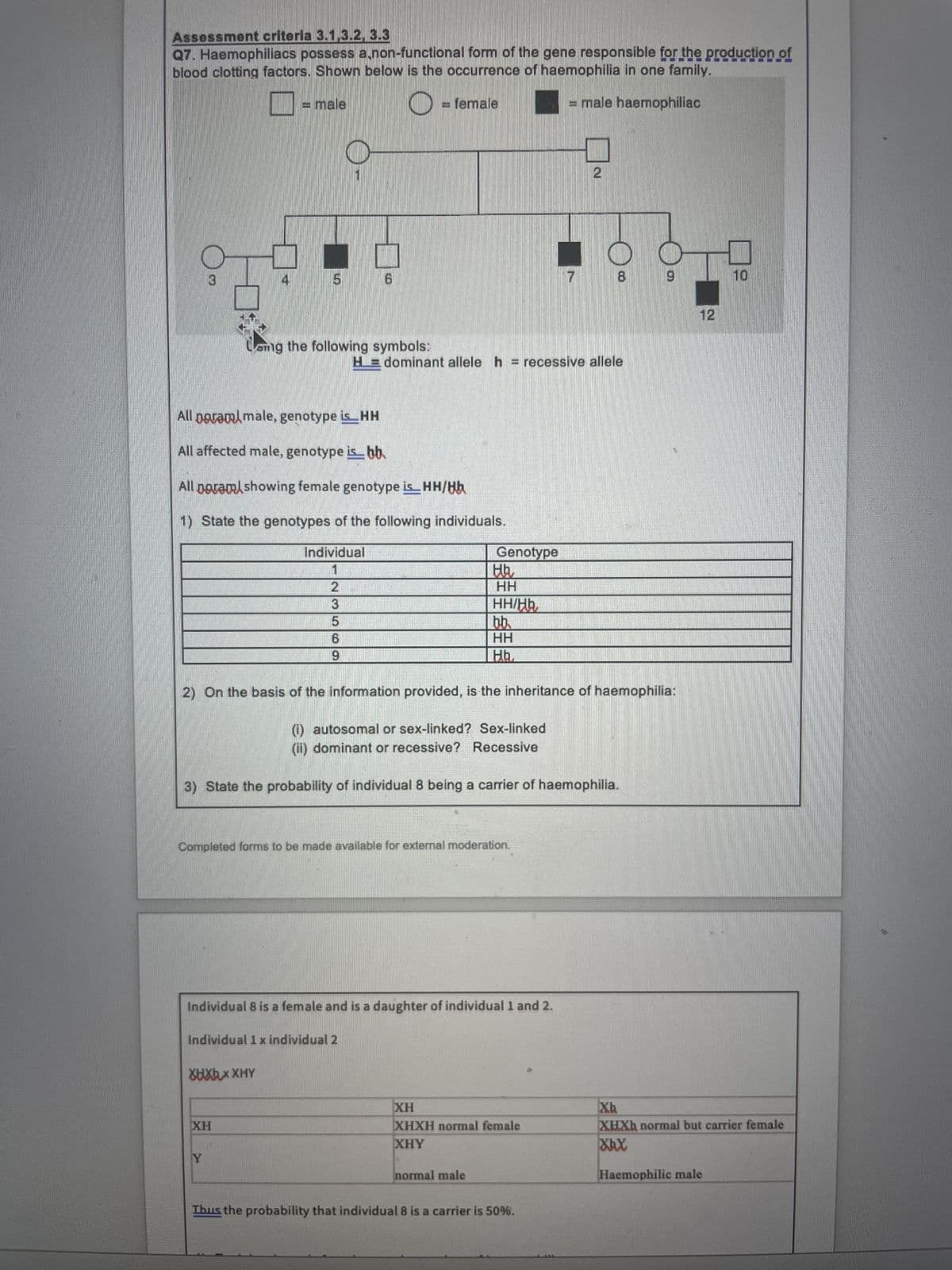 Assessment criteria 3.1.3.2, 3.3
Q7. Haemophiliacs possess a non-functional form of the gene responsible for the production of
blood clotting factors. Shown below is the occurrence of haemophilia in one family.
= male
O
= female
= male haemophiliac
2
sing the following symbols:
8
HE dominant allele h = recessive allele
All poram/male, genotype is_HH
All affected male, genotype is bb.
All noramshowing female genotype is_HH/Hh
1) State the genotypes of the following individuals.
Individual
Genotype
Hh₂
2
HH
3
HH/Hb
5
b.b
6
HH
9
Hh.
2) On the basis of the information provided, is the inheritance of haemophilia:
(i) autosomal or sex-linked? Sex-linked
(ii) dominant or recessive? Recessive
3) State the probability of individual 8 being a carrier of haemophilia.
Completed forms to be made available for external moderation.
Individual 8 is a female and is a daughter of individual 1 and 2.
Individual 1 x individual 2
XHXhXXHY
XH
XH
XHXH normal female
XHY
Y
normal male
Thus the probability that individual 8 is a carrier is 50%.
12
10
Xh
XHXh normal but carrier female
XhX
Haemophilic male