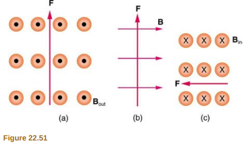 F
в
X X X Bn
X X X
F
Bout
XXX
(а)
(b)
(с)
Figure 22.51
