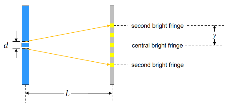 second bright fringe
у
d
central bright fringe
second bright fringe
-L-
