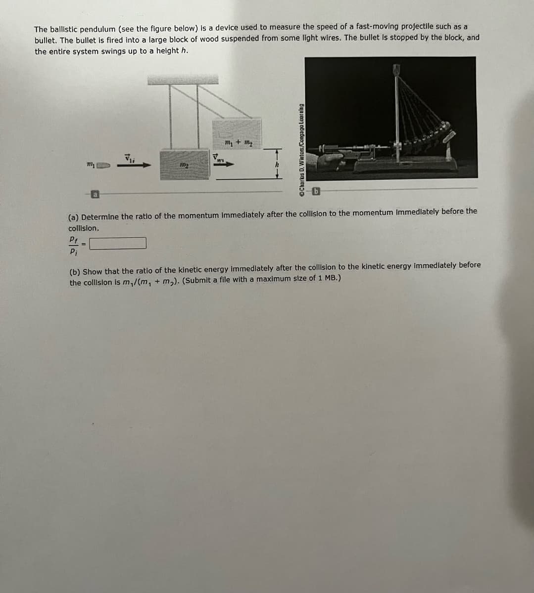 The ballistic pendulum (see the figure below) is a device used to measure the speed of a fast-moving projectile such as a
bullet. The bullet is fired into a large block of wood suspended from some light wires. The bullet is stopped by the block, and
the entire system swings up to a height h.
m, + mg
(a) Determine the ratio of the momentum immediately after the collislon to the momentum Immediately before the
collision.
Pi
(b) Show that the ratio of the kinetic energy immediately after the collision to the kinetic energy immediately before
the collision is m,/(m, + m,). (Submit a file with a maximum size of 1 MB.)
OCharbs D. Winters/Ce
