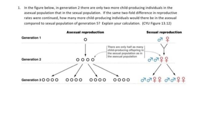 1. In the figure below, in generation 2 there are only two more child-producing individuals in the
asexual population that in the sexual population. If the same two-fold difference in reproductive
rates were continued, how many more child-producing individuals would there be in the asexual
compared to sexual population of generation 5? Explain your calculation. (CYU Figure 13.12)
Asexual reproduction
Sexual reproduction
Generation 1
|There are only half as many
child-producing offspring in
the sexual population as in
e asexual population
the
Generation 2
Generation 300 00
0000
0000
0000
