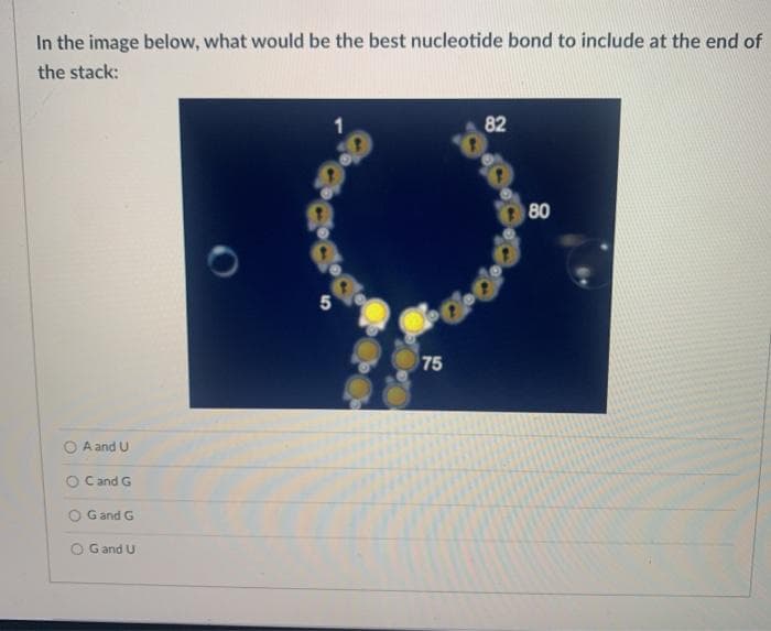 In the image below, what would be the best nucleotide bond to include at the end of
the stack:
82
80
75
A and U
O Cand G
Gand G
G and U
