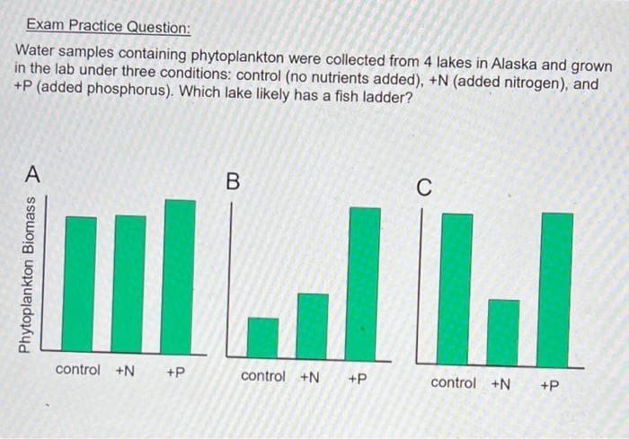 Exam Practice Question:
Water samples containing phytoplankton were collected from 4 lakes in Alaska and grown
in the lab under three conditions: control (no nutrients added), +N (added nitrogen), and
+P (added phosphorus). Which lake likely has a fish ladder?
В
C
control +N
+P
control +N
+P
control +N
+P
Phytoplankton Biomass D
