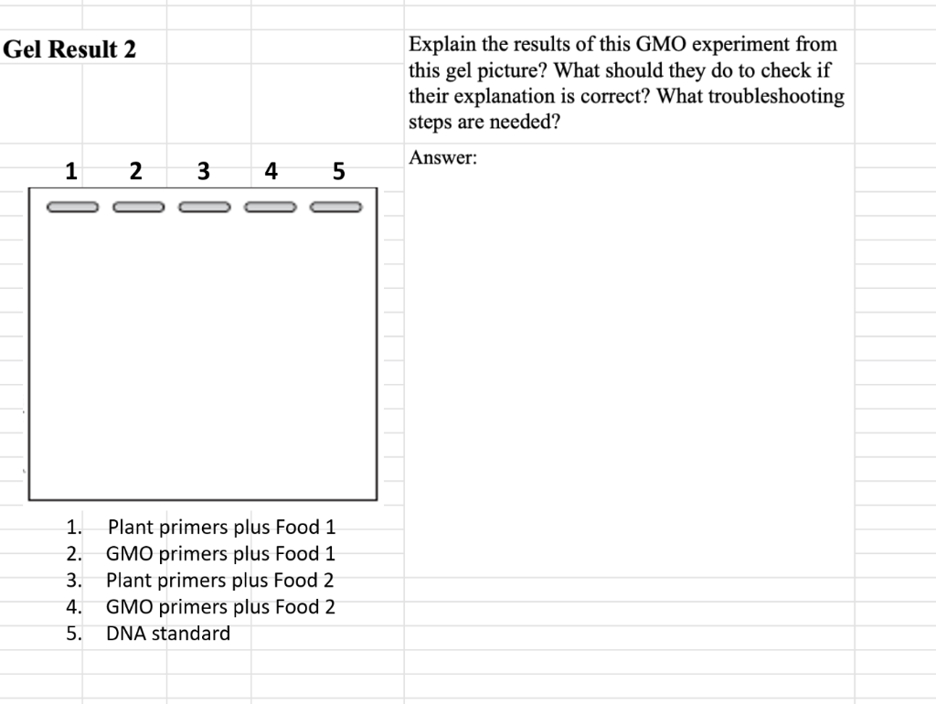 Explain the results of this GMO experiment from
this gel picture? What should they do to check if
their explanation is correct? What troubleshooting
steps are needed?
Gel Result 2
Answer:
1
2
4
Plant primers plus Food 1
GMO primers plus Food 1
Plant primers plus Food 2
GMO primers plus Food 2
1.
2.
3.
4.
5.
DNA standard
