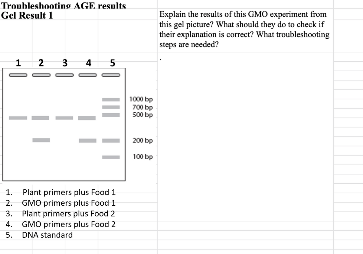 Troubleshooting AGE results
Explain the results of this GMO experiment from
this gel picture? What should they do to check if
their explanation is correct? What troubleshooting
steps are needed?
Gel Result 1
1
4
5
1000 bp
700 bp
500 bp
200 bp
100 bp
Plant primers plus Food 1
GMO primers plus Food 1
Plant primers plus Food 2
GMO primers plus Food 2
1.
2.
3.
4.
5.
DNA standard
0
