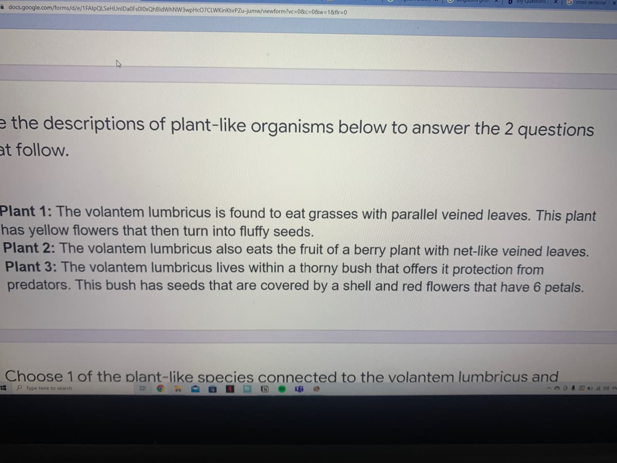 Questions
G cross sectional
A docs.google.com/forms/d/e/1FAlpQLSeHUnIDa0Fs010xQhBldWhNW3wpHc07CLWKinktirPZu-jumw/viewform?vc=0&c=0&w=1&fir=0
e the descriptions of plant-like organisms below to answer the 2 questions
at follow.
Plant 1: The volantem lumbricus is found to eat grasses with parallel veined leaves. This plant
has yellow flowers that then turn into fluffy seeds.
Plant 2: The volantem lumbricus also eats the fruit of a berry plant with net-like veined leaves.
Plant 3: The volantem lumbricus lives within a thorny bush that offers it protection from
predators. This bush has seeds that are covered by a shell and red flowers that have 6 petals.
Choose 1 of the plant-like species connected to the volantem lumbricus and
P Type here to search
