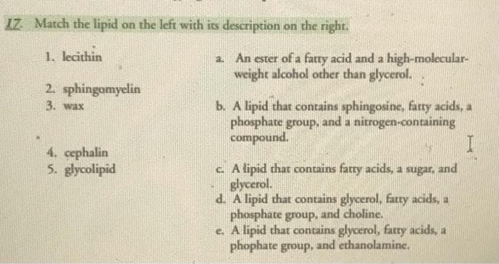 17. Match the lipid on the left with its description on the right.
1. lecithin
2. sphingomyelin
3. wax
4. cephalin
5. glycolipid
a. An ester of a fatty acid and a high-molecular-
weight alcohol other than glycerol.
b. A lipid that contains sphingosine, fatty acids, a
phosphate group, and a nitrogen-containing
compound.
I
c. A lipid that contains fatty acids, a sugar, and
glycerol.
d. A lipid that contains glycerol, fatty acids, a
phosphate group, and choline.
e. A lipid that contains glycerol, fatty acids, a
phophate group, and ethanolamine.