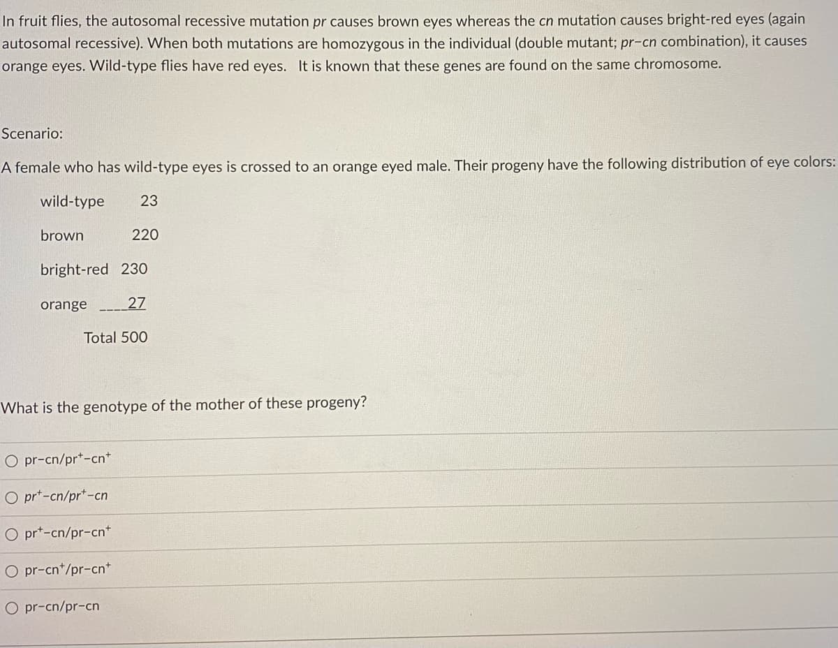In fruit flies, the autosomal recessive mutation pr causes brown eyes whereas the cn mutation causes bright-red eyes (again
autosomal recessive). When both mutations are homozygous in the individual (double mutant; pr-cn combination), it causes
orange eyes. Wild-type flies have red eyes. It is known that these genes are found on the same chromosome.
Scenario:
A female who has wild-type eyes is crossed to an orange eyed male. Their progeny have the following distribution of eye colors:
wild-type
23
brown
220
bright-red 230
orange
27
Total 500
What is the genotype of the mother of these progeny?
O pr-cn/pr*-cn*
O pr*-cn/pr*-cn
O pr*-cn/pr-cn*
O pr-cn*/pr-cn*
O pr-cn/pr-cn
