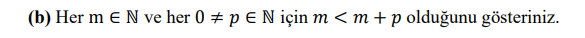 (b) Her m e N ve her 0 # p E N için m < m + p olduğunu gösteriniz.
