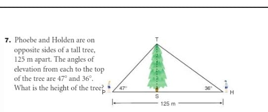 7. Phoebe and Holden are on
opposite sides of a tall tree,
125 m apart. The angles of
elevation from each to the top
of the tree are 47° and 36°.
What is the height of the tree
47
36°
125 m
