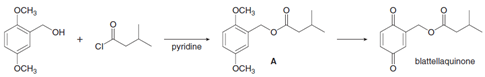 осн,
OCH,
OH
pyridine
blattellaquinone
осн,
OCH,
