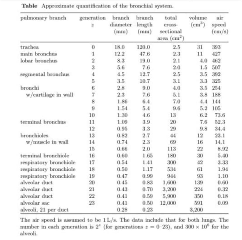 Table Approximate quantification of the bronchial system.
generation branch branch
diameter length
(mm)
pulmonary branch
volume
(cm") speed
(cm/s)
total
air
cross-
(mm)
sectional
area (cm2)
trachea
18.0
120.0
2.5
31
393
main bronchus
12.2
47.6
2.3
11
427
lobar bronchus
8.3
19.0
2.1
4.0 462
5.6
7.6
2.0
1.5 507
segmental bronchus
4.5
12.7
2.5
3.5 392
3.5
10.7
3.1
3.3 325
bronchi
2.8
9.0
4.0
3.5 254
w/cartilage in wall
2.3
7.6
5.1
3.8 188
8
1.86
6.4
7.0
4.4 144
1.54
5.4
9.6
5.2 105
13
20
29
10
1.30
4.6
6.2
73.6
52.3
9.8 34.4
terminal bronchus
11
1.09
3.9
7.6
12
0.95
3.3
2.7
2.3
bronchioles
13
0.82
44
12
23.1
w/muscle in wall
14
0.74
69
16
14.1
15
0.66
2.0
113
22
8.92
terminal bronchiole
16
0.60
1.65
180
30
5.40
respiratory bronchiole
respiratory bronchiole
respiratory bronchiole
alveolar duct
17
0.54
1.41
300
42
3.33
18
0.50
1.17
534
61
1.94
19
0.47
0.99
944
93
1.10
20
0.45
0.83
1,600
139
0.60
alveolar duct
21
0.43
0.70
3,200
224
0.32
alveolar duct
0.59
5,900
12,000
22
0.41
350
0.18
alveolar sac
23
0.41
0.50
591
0.09
alveoli, 21 per duct
0.28
0.23
3,200
The air speed is assumed to be 1 L/s. The data include that for both lungs. The
number in each generation is 2 (for generations z = 0-23), and 300 x 10 for the
%3D
alveoli.
4129 567
