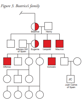 Figure 3. Beatrice's family
Beatrice
Henry
Alfonso XIII Eugenie Leopold Maurice
of Spain
Alfonso
Gonzalo
JC
Juan Carlos
of Spain
