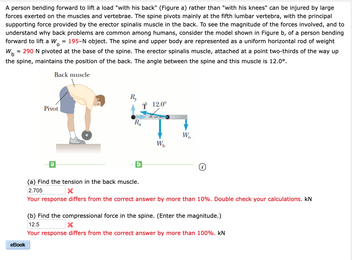 A person bending forward to lift a load "with his back" (Figure a) rather than "with his knees" can be injured by large
forces exerted on the muscles and vertebrae. The spine pivots mainly at the fifth lumbar vertebra, with the principal
supporting force provided by the erector spinalis muscle in the back. To see the magnitude of the forces involved, and to
understand why back problems are common among humans, consider the model shown in Figure b, of a person bending
forward to lift a W. = 195-N object. The spine and upper body are represented as a uniform horizontal rod of weight
= 290 N pivoted at the base of the spine. The erector spinalis muscle, attached at a point two-thirds of the way up
the spine, maintains the position of the back. The angle between the spine and this muscle is 12.0°.
Back muscle
R,
T 12.0°
Pivot
Rx
W.
W,
(a) Find the tension in the back muscle.
2.705
Your response differs from the correct answer by more than 10%. Double check your calculations. kN
(b) Find the compressional force in the spine. (Enter the magnitude.)
12.5
Your response differs from the correct answer by more than 100%. kN
еВook
