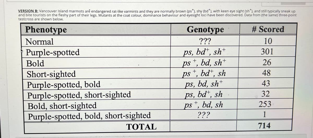 VERSION B: Vancouver Island marmots are endangered rat-like varmints and they are normally brown (ps"), shy (bd"), with keen eye sight (sh"), and still typically sneak up
and bite tourists on the fleshy part of their legs. Mutants at the coat colour, dominance behaviour and eyesight loci have been discovered. Data from (the same) three-point
testcross are shown below.
Phenotype
Genotype
# Scored
Normal
???
10
ps, bd*, sh+
ps+, bd, sh+
ps *, bd*, sh
ps, bd, sh+
ps, bd*, sh
ps*, bd, sh
???
301
Purple-spotted
Bold
26
48
Short-sighted
Purple-spotted, bold
Purple-spotted, short-sighted
Bold, short-sighted
Purple-spotted, bold, short-sighted
43
32
253
1
TOTAL
714
