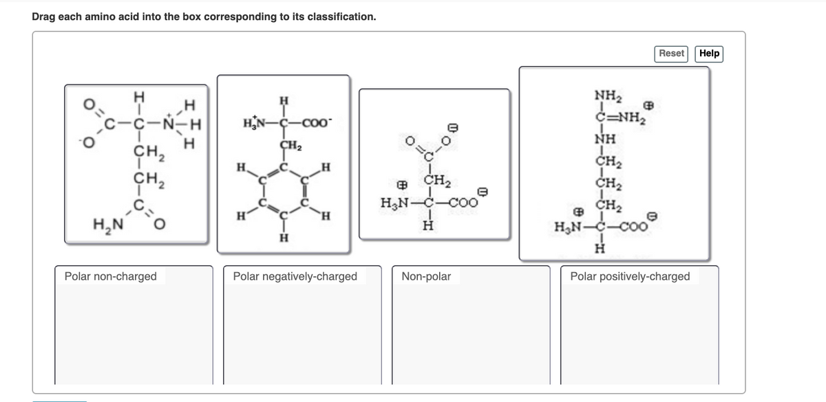 Drag each amino acid into the box corresponding to its classification.
Reset
Help
NH2
c=NH2
с-с-N-н
HỆN-
COO"
NH
CH2
CH,
CH2
CH2
CH2
CH2
H,N-C-coo
H.
E CH2
H3N-C-COC
H,N
H
Polar non-charged
Polar negatively-charged
Non-polar
Polar positively-charged
