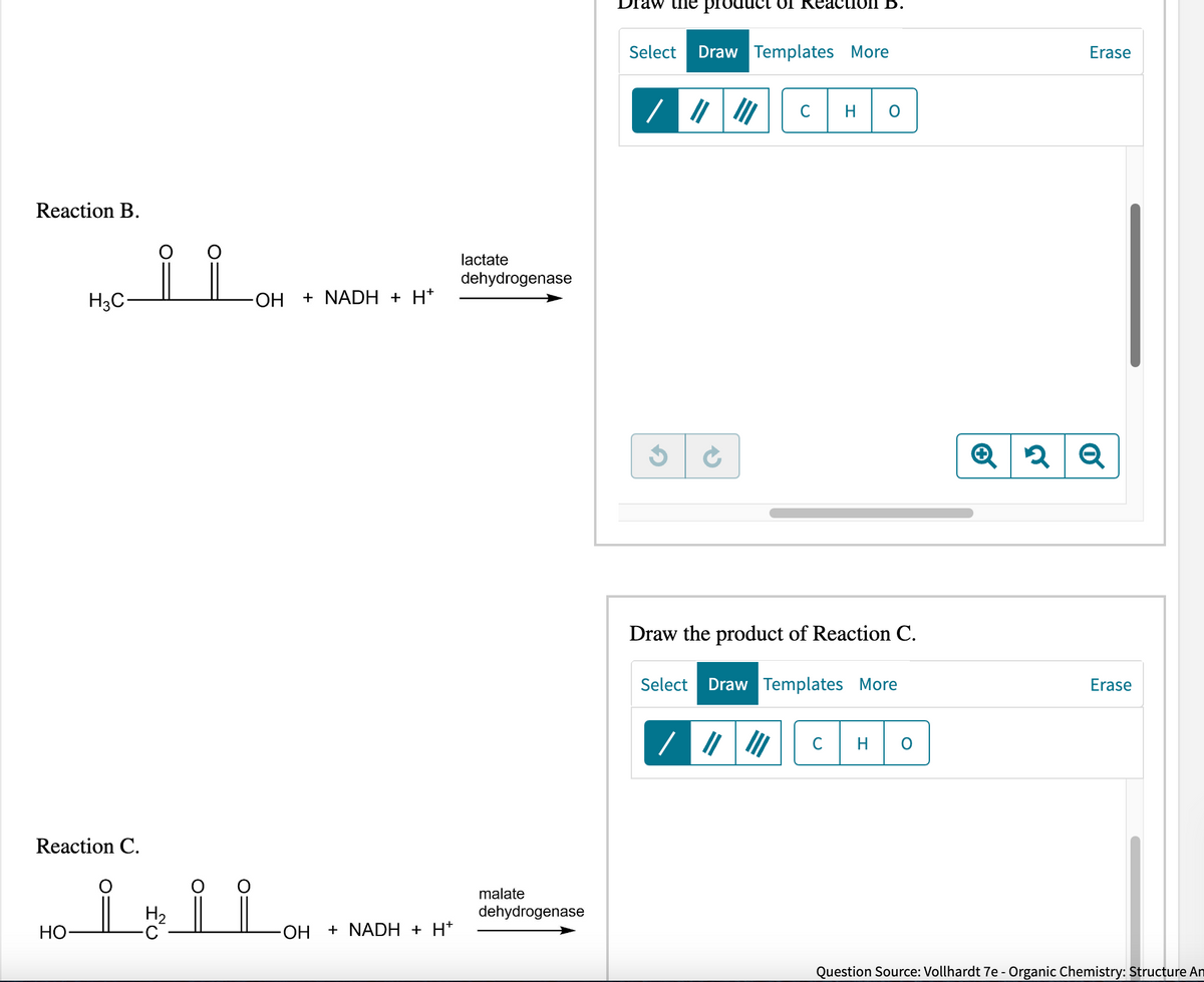 Reaction B.
H3C-
HO
ii
-OH + NADH + H*
Reaction C.
Hii i
OH
+ NADH + H*
lactate
dehydrogenase
malate
dehydrogenase
Select
product Reaction D.
Draw Templates More
/ |||||| с H O
Draw the product of Reaction C.
Select Draw Templates More
/||||||| C H O
Erase
2 Q
Erase
Question Source: Vollhardt 7e - Organic Chemistry: Structure An