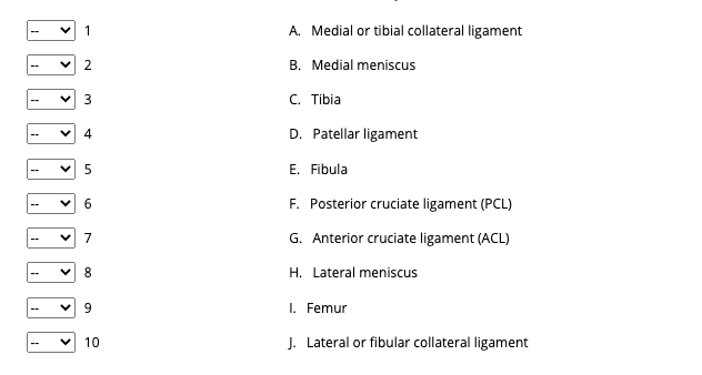 1
A. Medial or tibial collateral ligament
2
B. Medial meniscus
3
C. Tibia
--
4
D. Patellar ligament
E. Fibula
F. Posterior cruciate ligament (PCL)
6.
7
G. Anterior cruciate ligament (ACL)
8.
H. Lateral meniscus
9.
I. Femur
10
J. Lateral or fibular collateral ligament
>
>
>
>
>
