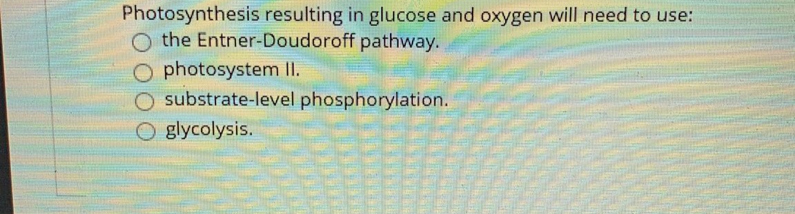 **Photosynthesis Knowledge Check**

To synthesize glucose and oxygen during photosynthesis, which of the following is needed?

- ⭕ the Entner-Doudoroff pathway
- ⭕ photosystem II
- ⭕ substrate-level phosphorylation
- ⭕ glycolysis

**Explanation:**
- The Entner-Doudoroff pathway is an alternative glycolytic pathway found in some bacteria.
- Photosystem II is a crucial component of the photosynthetic electron transport chain.
- Substrate-level phosphorylation is a method of ATP production in glycotic and other metabolic pathways.
- Glycolysis is the process of breaking down glucose to extract energy.

This multiple-choice question serves to assess the understanding of the processes involved in photosynthesis. For photosynthesis resulting in glucose and oxygen, photosystem II is essential as it is involved in the light-dependent reactions, which are the main focus of this query.