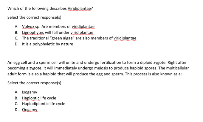 Which of the following describes Viridiplantae?
Select the correct response(s)
A. Volvox sp. Are members of viridiplantae
B. Lignophytes will fall under viridiplantae
C. The traditional "green algae" are also members of viridiplantae
D. It is a polyphyletic by nature
An egg cell and a sperm cell will unite and undergo fertilization to form a diploid zygote. Right after
becoming a zygote, it will immediately undergo meiosis to produce haploid spores. The multicellular
adult form is also a haploid that will produce the egg and sperm. This process is also known as a:
Select the correct response(s)
A. Isogamy
B. Haplontic life cycle
C. Haplodiplontic life cycle
D. Oogamy
wwww.
