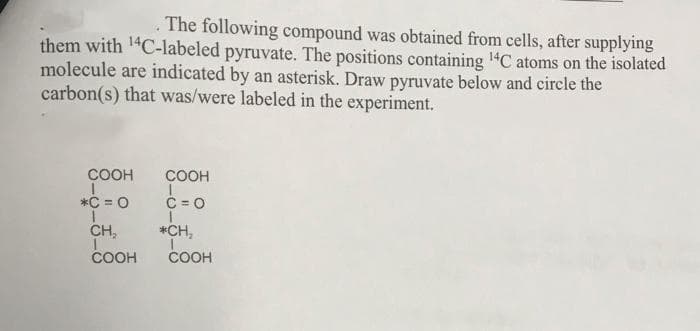 The following compound was obtained from cells, after supplying
them with 1"C-labeled pyruvate. The positions containing "C atoms on the isolated
molecule are indicated by an asterisk. Draw pyruvate below and circle the
carbon(s) that was/were labeled in the experiment.
COOH
COOH
*C = 0
C = O
CH,
*CH,
COOH
COOH
