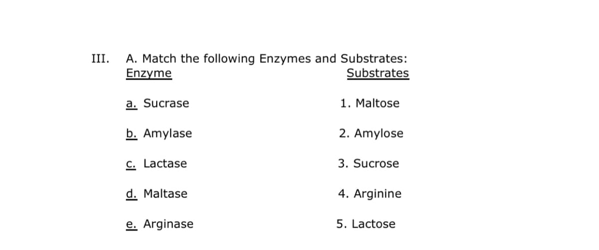 A. Match the following Enzymes and Substrates:
Enzyme
III.
Substrates
a. Sucrase
1. Maltose
b. Amylase
2. Amylose
C. Lactase
3. Sucrose
d. Maltase
4. Arginine
e. Arginase
5. Lactose
