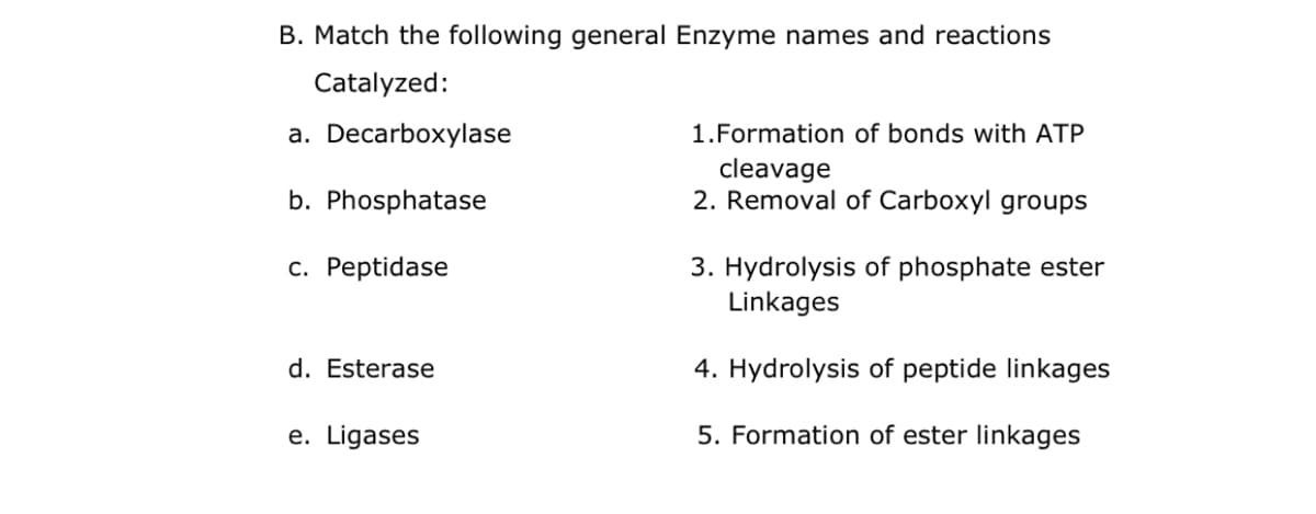 B. Match the following general Enzyme names and reactions
Catalyzed:
a. Decarboxylase
1.Formation of bonds with ATP
cleavage
2. Removal of Carboxyl groups
b. Phosphatase
c. Peptidase
3. Hydrolysis of phosphate ester
Linkages
d. Esterase
4. Hydrolysis of peptide linkages
e. Ligases
5. Formation of ester linkages
