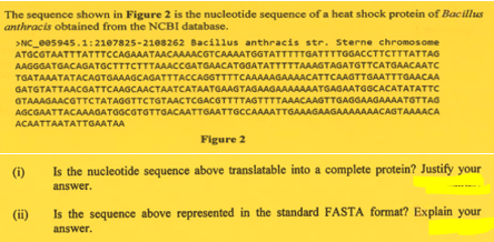 The sequence shown in Figure 2 is the nucleotide sequence of a heat shock protein of Bacillus
anthracis obtained from the NCBI database.
>NC_005945.1:2107825-2108262 Bacillus anthracis str. Sterne chromosome
ATGCGTAATTTATTTCCAGAAATAACAAAACGTCAAAATGGTATTTTTGATTTTGGACCTTCTTTATTAG
AAGGGATGACAGATGCTTTCTTTAAACCGATGAACATGGATATTTTTAAAGTAGATGTTCATGAACAATC
TGATAAATATACAGTGAAAGCAGATTTACCAGGTTTTCAAAAAGAAAACATTCAAGTTGAATTTGAACAA
GATGTATTAACGATTCAAGCAACTAATCATAATGAAGTAGAAGAAAAAAATGAGAATGGCACATATATTC
GTAAAGAACGTTCTATAGGTTCTGTAACTCGACGTTTTAGTTTTAAACAAGTTGAGGAAGAAAATGTTAG
AGCGAATTACAAAGATGGCGTGTTGACAATTGAATTGCCAAAATTGAAAGAAGAAAAAAACAGTAAAACA
ACAATTAATATTGAATAA
Figure 2
(i)
Is the nucleotide sequence above translatable into a complete protein? Justify your
answer.
(ii)
Is the sequence above represented in the standard FASTA format? Explain your
answer.