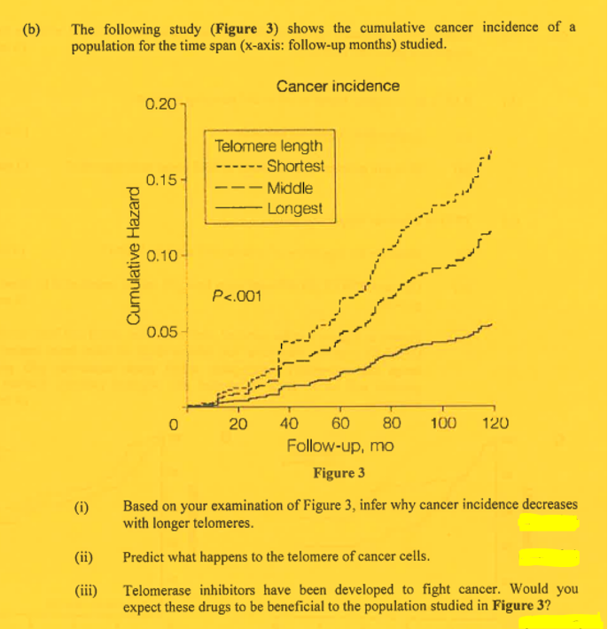 (b)
The following study (Figure 3) shows the cumulative cancer incidence of a
population for the time span (x-axis: follow-up months) studied.
(i)
(ii)
(iii)
Cumulative Hazard
0.20
0.15-
0.10-
0.05
0
Telomere length
- Shortest
- Middle
P<.001
Cancer incidence
20
Longest
40 60 80 100 120
Follow-up, mo
Figure 3
Based on your examination of Figure 3, infer why cancer incidence decreases
with longer telomeres.
Predict what happens to the telomere of cancer cells.
Telomerase inhibitors have been developed to fight cancer. Would you
expect these drugs to be beneficial to the population studied in Figure 3?