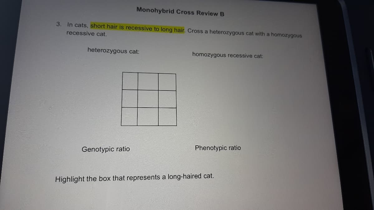 Monohybrid Cross Review B
3.
In cats, short hair is recessive to long hair. Cross a heterozygous cat with a homozygous
recessive cat.
heterozygous cat:
homozygous recessive cat:
Phenotypic ratio
Genotypic ratio
Highlight the box that represents a long-haired cat.
