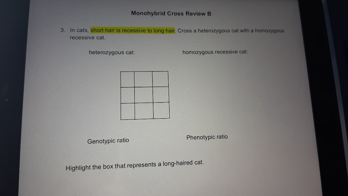 Monohybrid Cross Review B
3. In cats, short hair is recessive to long hair. Cross a heterozygous cat with a homozygous
recessive cat.
heterozygous cat:
homozygous recessive cat:
Phenotypic ratio
Genotypic ratio
Highlight the box that represents a long-haired cat.
