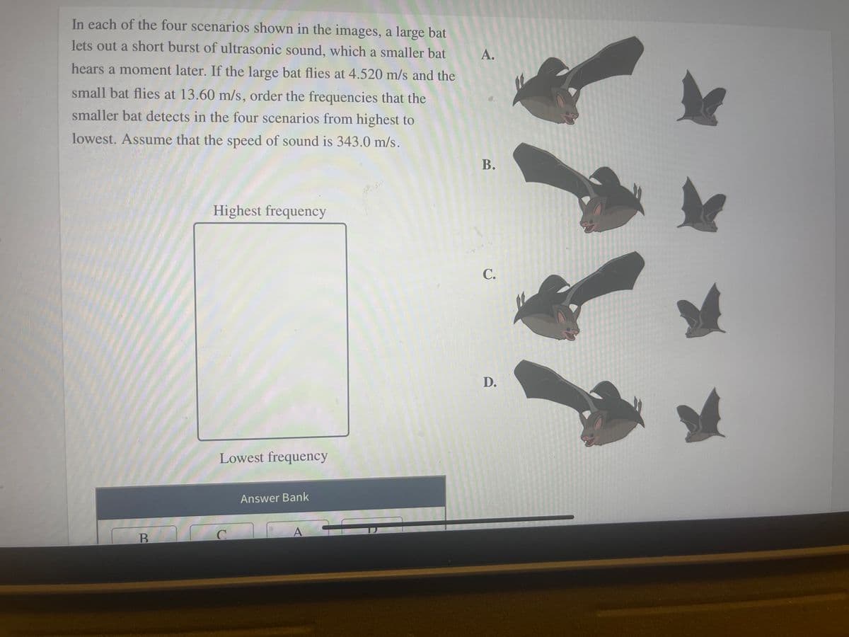 In each of the four scenarios shown in the images, a large bat
lets out a short burst of ultrasonic sound, which a smaller bat
hears a moment later. If the large bat flies at 4.520 m/s and the
small bat flies at 13.60 m/s, order the frequencies that the
smaller bat detects in the four scenarios from highest to
lowest. Assume that the speed of sound is 343.0 m/s.
B
Highest frequency
Lowest frequency
C
Answer Bank
A
A.
B.
C.
D.