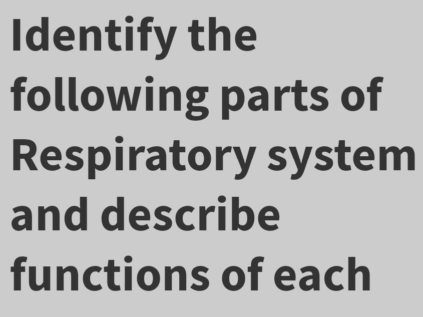 Identify the
following parts of
Respiratory system
and describe
functions of each
