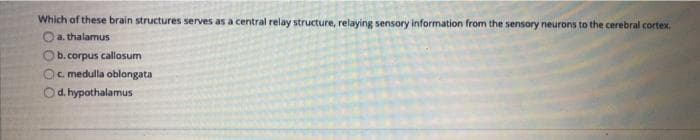 Which of these brain structures serves as a central relay structure, relaying sensory information from the sensory neurons to the cerebral cortex.
Oa. thalamus
b.corpus callosum
Oc. medulla oblongata
Od. hypothalamus
