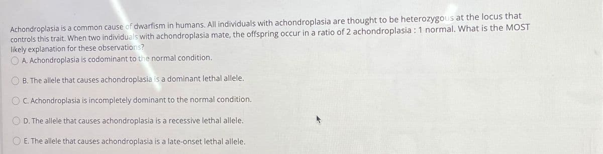 Achondroplasia is a common cause of dwarfism in humans. All individuals with achondroplasia are thought to be heterozygous at the locus that
controls this trait. When two individuals with achondroplasia mate, the offspring occur in a ratio of 2 achondroplasia : 1 normal. What is the MOST
likely explanation for these observations?
O A. Achondroplasia is codominant to the normal condition.
B. The allele that causes achondroplasia is a dominant lethal allele.
C. Achondroplasia is incompletely dominant to the normal condition.
D. The allele that causes achondroplasia is a recessive lethal allele.
E. The allele that causes achondroplasia is a late-onset lethal allele.
