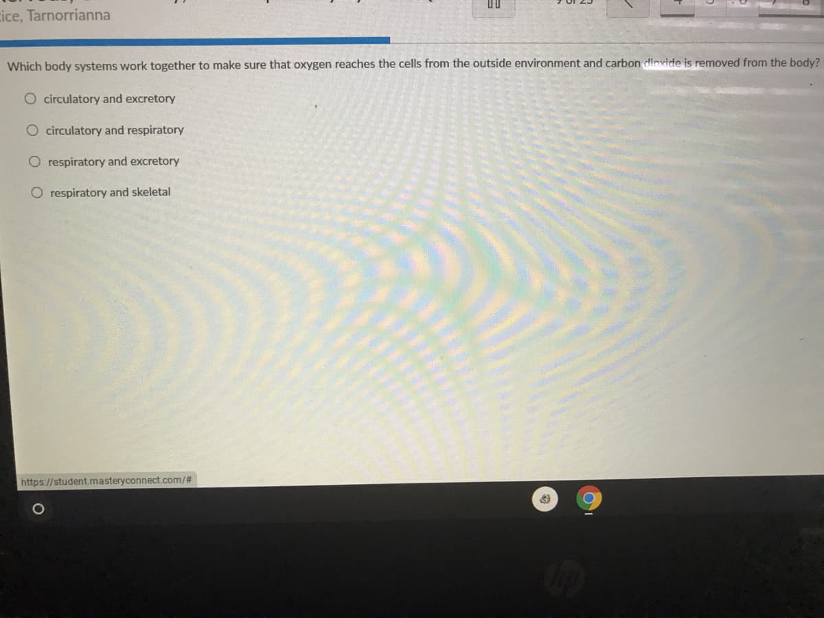 cice, Tarnorrianna
Which body systems work together to make sure that oxygen reaches the cells from the outside environment and carbon dioxide is removed from the body?
O circulatory and excretory
O circulatory and respiratory
O respiratory and excretory
O respiratory and skeletal
https://student.masteryconnect.com/%#
