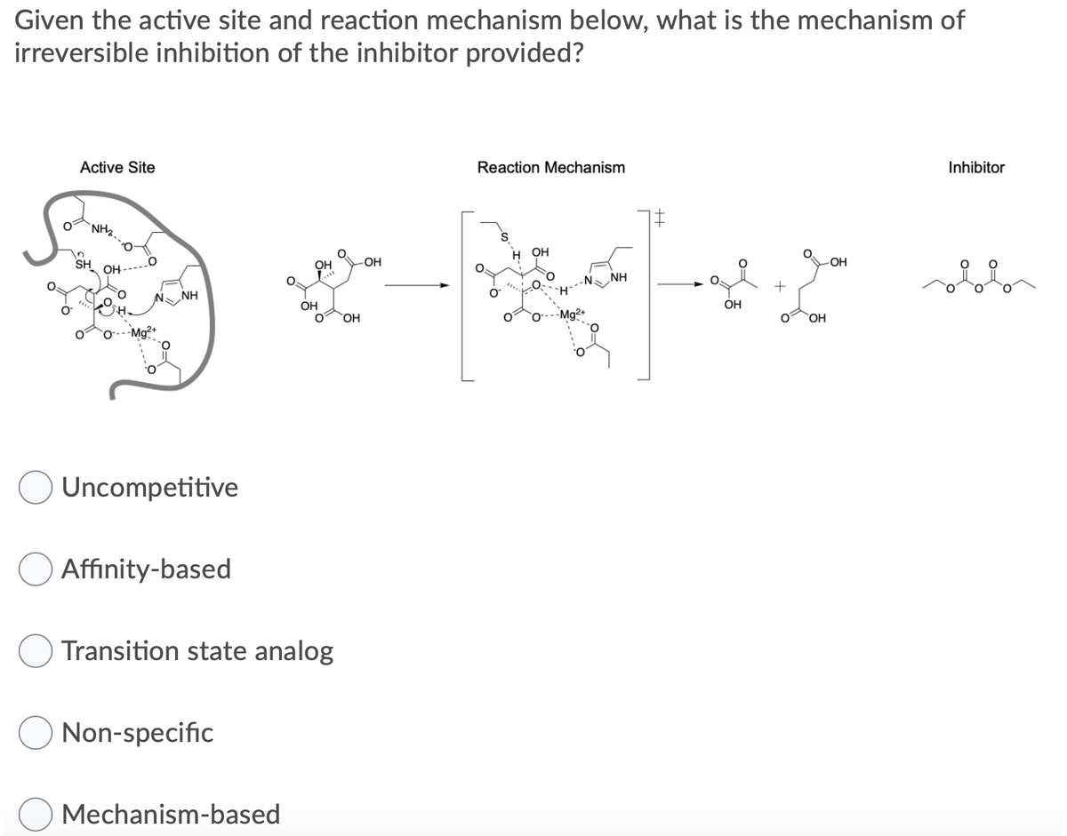 Given the active site and reaction mechanism below, what is the mechanism of
irreversible inhibition of the inhibitor provided?
Active Site
Reaction Mechanism
Inhibitor
`NH2.
н Он
SH
OH-
OH
OH
HO-
NH
„NH
OH
OH
OH
-Mg²+
Uncompetitive
Affinity-based
Transition state analog
Non-specific
Mechanism-based
