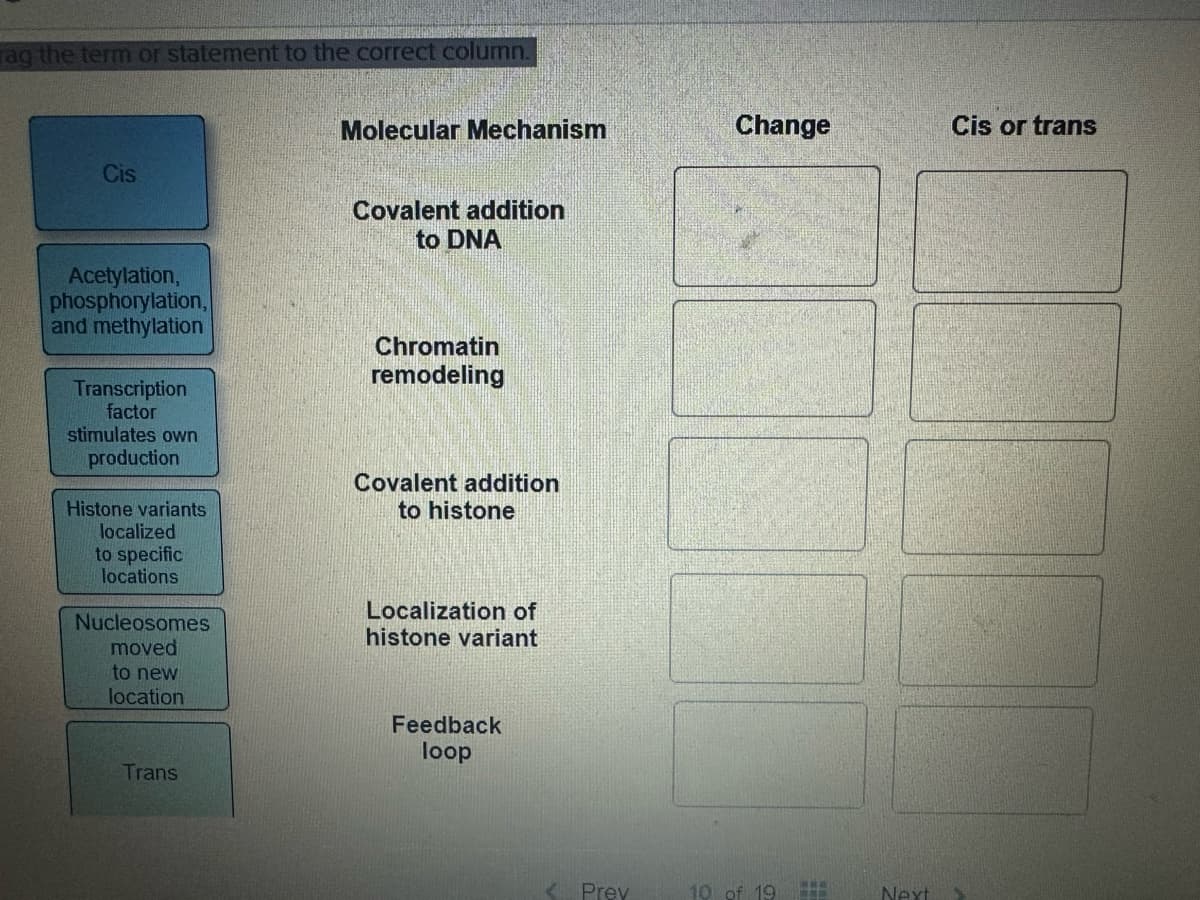 rag the term or statement to the correct column.
Cis
Molecular Mechanism
Change
Cis or trans
Covalent addition
to DNA
Acetylation,
phosphorylation,
and methylation
Transcription
factor
stimulates own
production
Histone variants
localized
to specific
locations
Nucleosomes
moved
to new
location
Chromatin
remodeling
Covalent addition
to histone
Localization of
histone variant
Trans
Feedback
loop
<Prev
www
10 of 19
Next