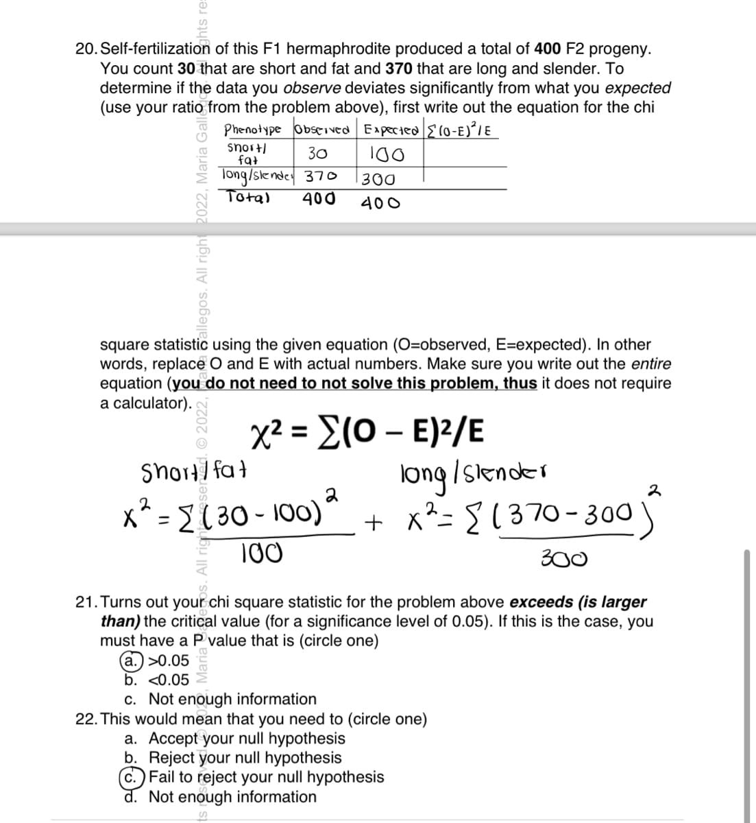 20. Self-fertilization of this F1 hermaphrodite produced a total of 400 F2 progeny.
You count 30 that are short and fat and 370 that are long and slender. To
determine if the data you observe deviates significantly from what you expected
(use your ratio from the problem above), first write out the equation for the chi
Phenotype Observed Expected (0-E)²/E
100
allegos. All right 2022, Maria Gal
snort/
fat
30
Tong/slender 370
Total
400
square statistic using the given equation (O=observed, E=expected). In other
words, replace O and E with actual numbers. Make sure you write out the entire
equation (you do not need to not solve this problem, thus it does not require
a calculator).
d. © 2022,
Short/fat
(a.) >0.05
b. <0.05
300
400
x² = (0 - E)²/E
long / slender
2
x² = Σ (30-100) 2 + x²= {1370-300
100
300
21. Turns out your chi square statistic for the problem above exceeds (is larger
than) the critical value (for a significance level of 0.05). If this is the case, you
must have a P value that is (circle one)
2
c. Not enough information
22. This would mean that you need to (circle one)
a. Accept your null hypothesis
b. Reject your null hypothesis
c.) Fail to reject your null hypothesis
d. Not enough information