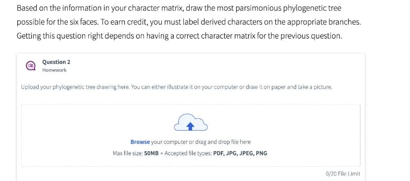 Based on the information in your character matrix, draw the most parsimonious phylogenetic tree
possible for the six faces. To earn credit, you must label derived characters on the appropriate branches.
Getting this question right depends on having a correct character matrix for the previous question.
Question 2
Homework
Upload your phylogenetic tree drawing here. You can either illustrate it on your computer or draw it on paper and take a picture.
Browse your computer or drag and drop file here
Max file size: 50MB. Accepted file types: PDF, JPG, JPEG, PNG
0/20 File Limit