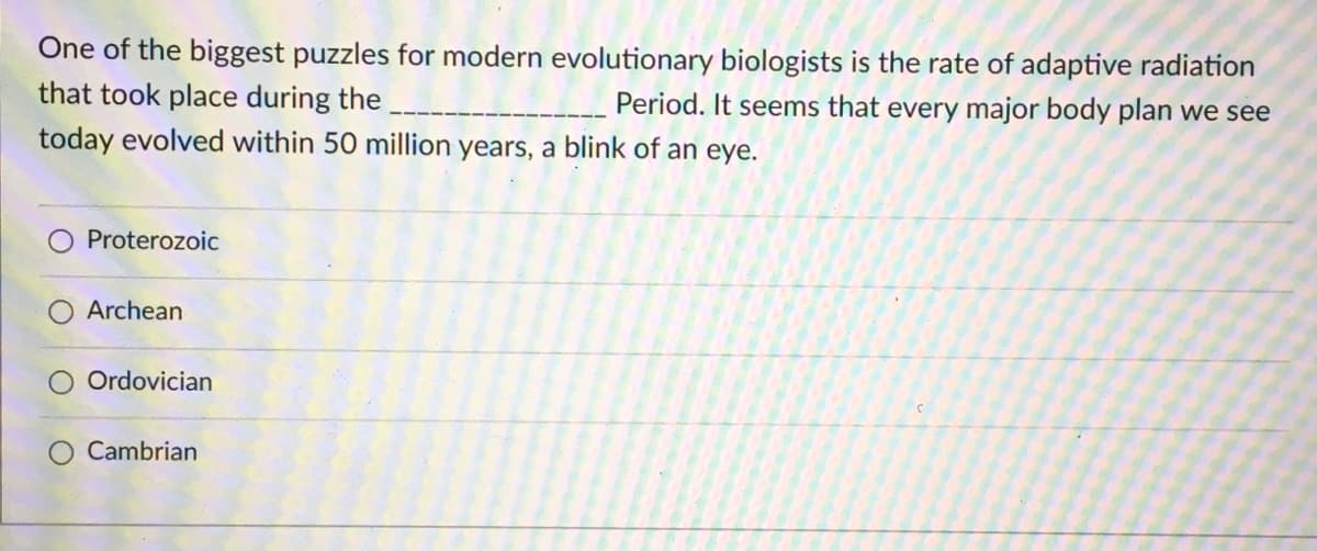 One of the biggest puzzles for modern evolutionary biologists is the rate of adaptive radiation
that took place during the
Period. It seems that every major body plan we see
today evolved within 50 million years, a blink of an eye.
Proterozoic
Archean
Ordovician
O Cambrian
