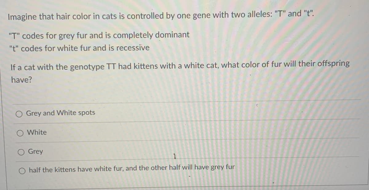 Imagine that hair color in cats is controlled by one gene with two alleles: "T" and "t".
"T" codes for grey fur and is completely dominant
"t" codes for white fur and is recessive
If a cat with the genotype TT had kittens with a white cat, what color of fur will their offspring
have?
Grey and White spots
White
Grey
half the kittens have white fur, and the other half will have grey fur
