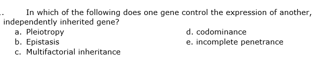 In which of the following does one gene control the expression of another,
independently inherited gene?
a. Pleiotropy
b. Epistasis
c. Multifactorial inheritance
d. codominance
e. incomplete penetrance
