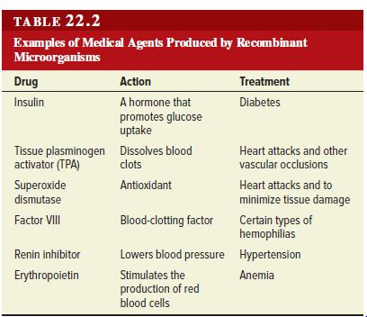 TABLE 22.2
Examples of Medical Agents Produced by Recombinant
Microorganisms
Drug
Action
Treatment
Insulin
A hormone that
Diabetes
promotes glucose
uptake
Tissue plasminogen Dissolves blood
activator (TPA)
Heart attacks and other
vascular occlusions
clots
Superoxide
dismutase
Antioxidant
Heart attacks and to
minimize tissue damage
Factor VI
Blood-clotting factor
Certain types of
hemophilias
Renin inhibitor
Lowers blood pressure Hypertension
Erythropoietin
Stimulates the
production of red
blood cells
Anemia
