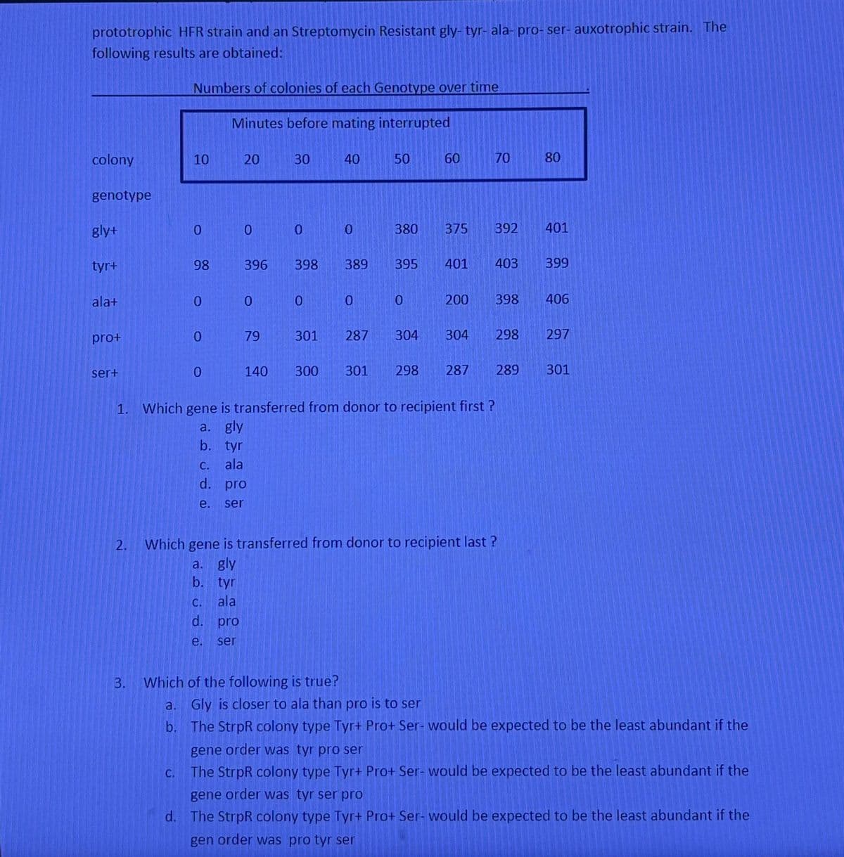 prototrophic HFR strain and an Streptomycin Resistant gly- tyr- ala- pro- ser- auxotrophic strain. The
following results are obtained:
Numbers of colonies of each Genotype over time
Minutes before mating interrupted
colony
10
20
30 40
50
60
60
TO
70
88
80
genotype
gly+
0
0 0
0
380
375 392 401
tyr+
98
396
398
389
395
401
403 399
ala+
0
0
O
0
0
200
398
406
prot
0
79
301
287
304
304 298
297
ser+
0
140
300
301
298
287 289
301
1. Which gene is transferred from donor to recipient first?
2.
a. gly
b. tyr
C.
ala
d. pro
e. ser
Which gene is transferred from donor to recipient last?
a. gly
b. tyr
C.
ala
d. pro
e.
ser
3. Which of the following is true?
a. Gly is closer to ala than pro is to ser
b. The StrpR colony type Tyr+ Pro+ Ser- would be expected to be the least abundant if the
gene order was tyr pro ser
C The StrpR colony type Tyr+ Pro+ Ser- would be expected to be the least abundant if the
gene order was tyr ser pro
d. The StrpR colony type Tyr+ Pro+ Ser- would be expected to be the least abundant if the
gen order was pro tyr ser