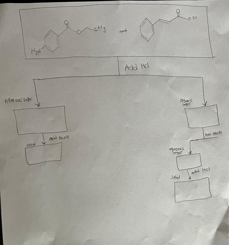 H₂N
Aqueous layer
Solid
add Naot
-CH3
and
o
Add Hcl
organic
layer
aqueous
layer
-OH
Solid
Add NaoH
add Hel