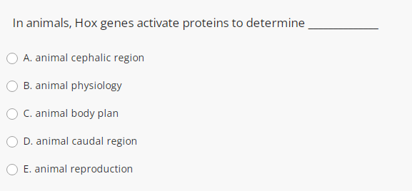 In animals, Hox genes activate proteins to determine
A. animal cephalic region
B. animal physiology
C. animal body plan
D. animal caudal region
E. animal reproduction
