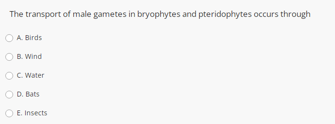 The transport of male gametes in bryophytes and pteridophytes occurs through
A. Birds
B. Wind
O C. Water
D. Bats
E. Insects
