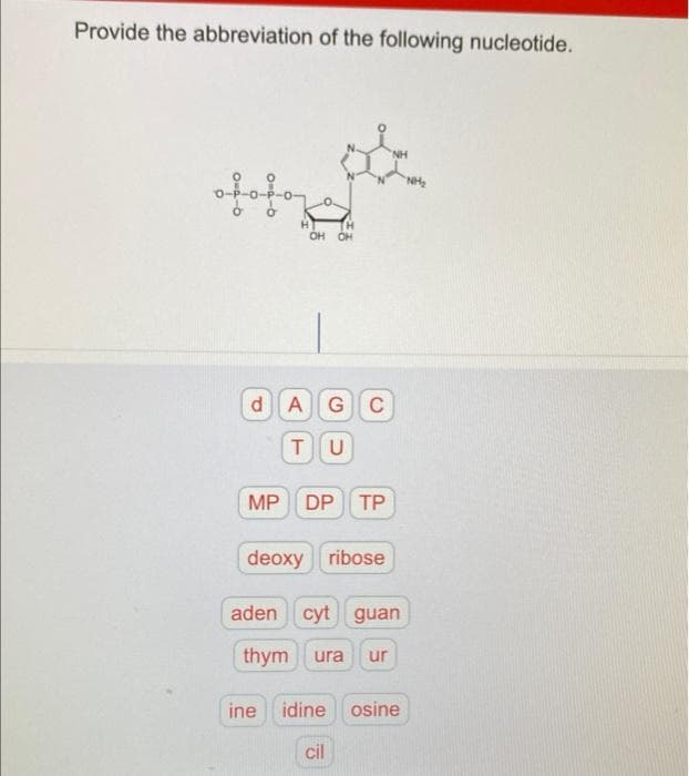 Provide the abbreviation of the following nucleotide.
ofofoza
H
OH OH
d A G C
TU
MP DP TP
deoxy ribose
NH
aden cyt guan
thym ura ur
ine idine osine
cil