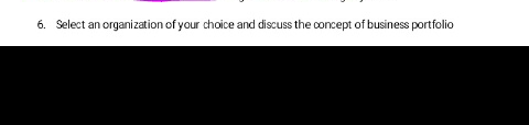 6. Select an organization of your choice and discuss the concept of business portfolio